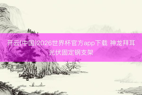 开云(中国)2026世界杯官方app下载 神龙拜耳光伏固定钢支架