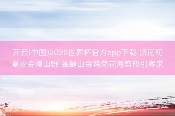 开云(中国)2026世界杯官方app下载 济南初夏鎏金漫山野 蚰蜒山金鸡菊花海盛放引客来