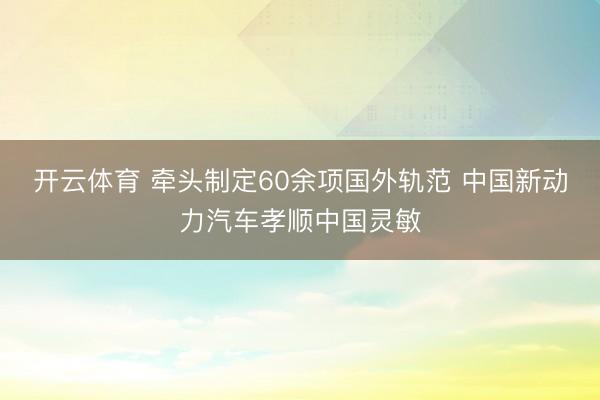 开云体育 牵头制定60余项国外轨范 中国新动力汽车孝顺中国灵敏