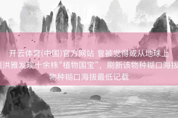 开云体育(中国)官方网站 曾被觉得或从地球上灭绝 四川洪雅发现十余株“植物国宝”，刷新该物种糊口海拔最低记载