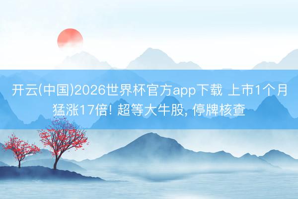开云(中国)2026世界杯官方app下载 上市1个月猛涨17倍! 超等大牛股, 停牌核查