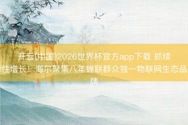 开云(中国)2026世界杯官方app下载 抓续韧性增长！海尔聚集八年蝉联群众独一物联网生态品牌