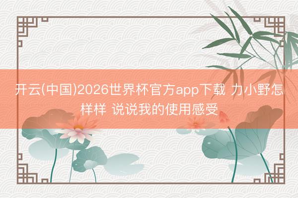 开云(中国)2026世界杯官方app下载 力小野怎样样 说说我的使用感受