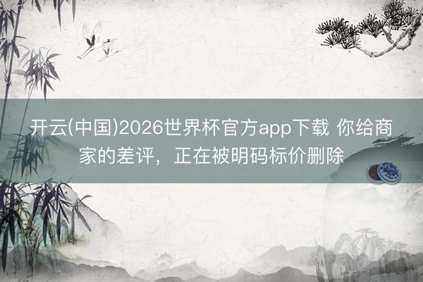 开云(中国)2026世界杯官方app下载 你给商家的差评，正在被明码标价删除