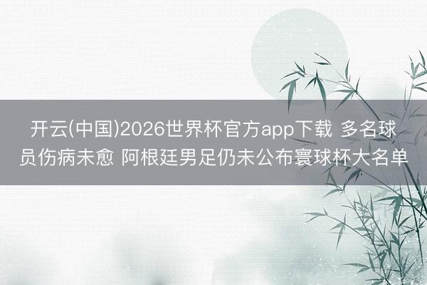 开云(中国)2026世界杯官方app下载 多名球员伤病未愈 阿根廷男足仍未公布寰球杯大名单